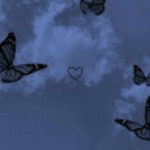 Meet your Posher, Elaina